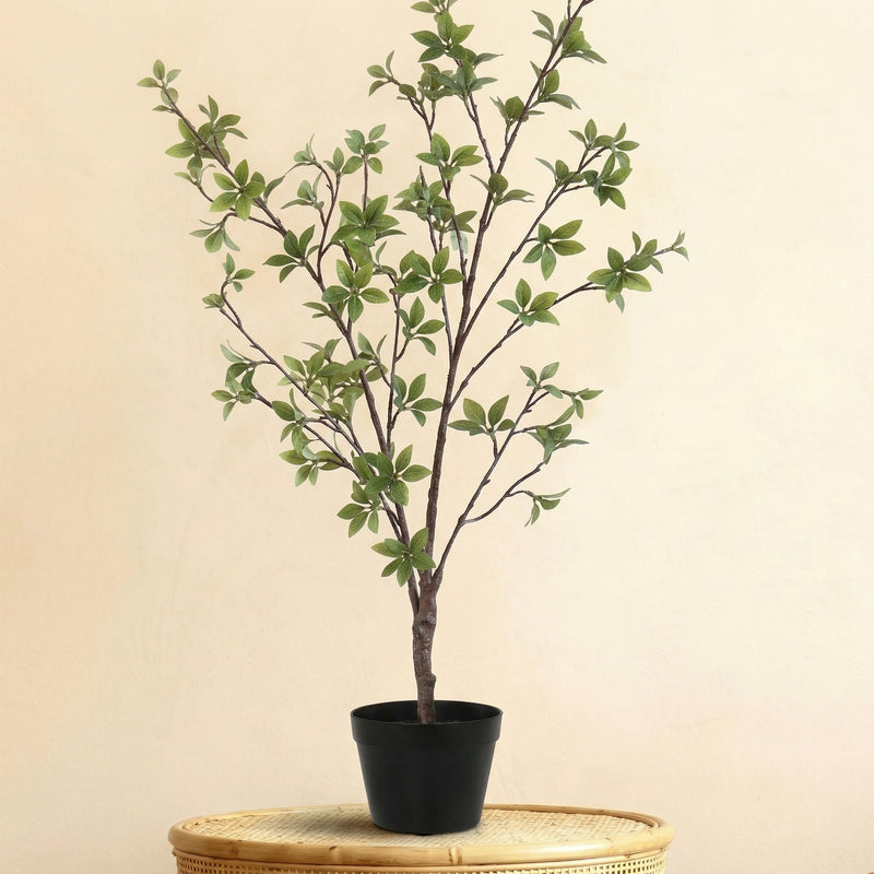 





Sztuczna Roślina Mirt - Premium kunstplant van Florafy
