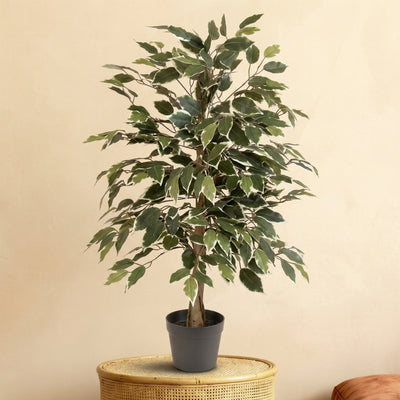 Kunstplant Ficus Benjamina Variegata | 85cm