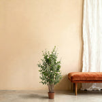





Kunstpflanze Eucalyptus Groen | 120cm - Afbeelding 7
 thumbnail