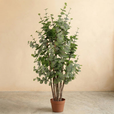 Kunstplant Eucalyptus Groen | 120cm