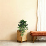 





Kunstpflanze Hängender Efeu - Afbeelding 5
 thumbnail