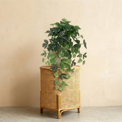 Plante artificielle Lierre Suspendu | 48cm
