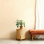 





Umelá Rastlina Philodendron Florida - Afbeelding 5
 thumbnail