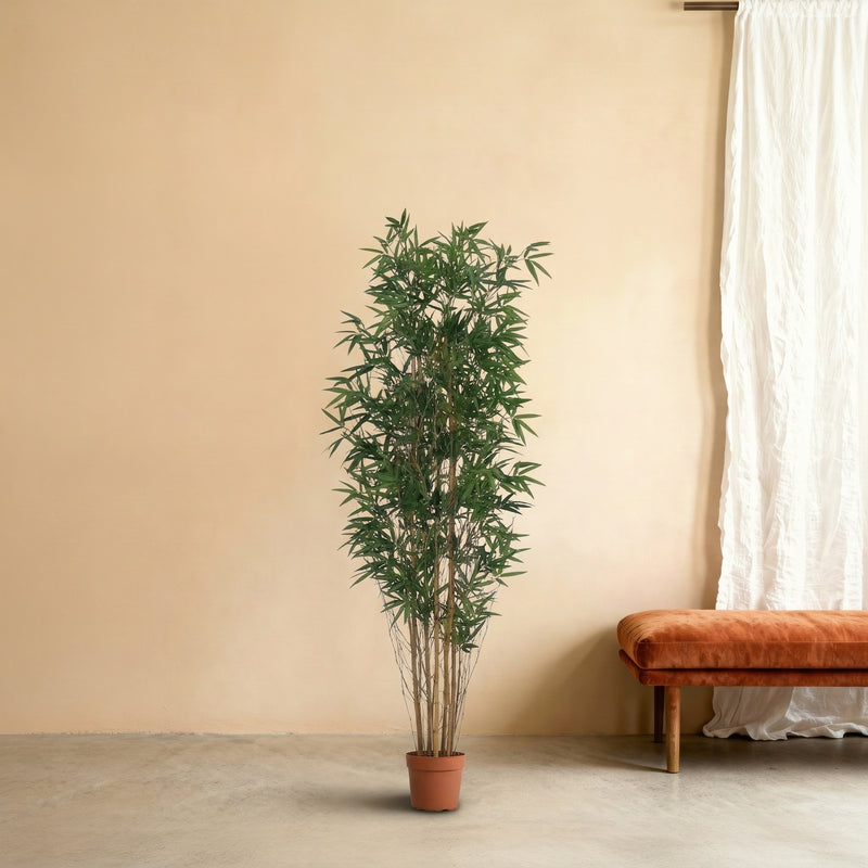 





Sztuczna roślina Bambus | 210cm - Afbeelding 6
