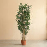 





Sztuczna roślina Bambus | 210cm - Premium kunstplant van Florafy
 thumbnail