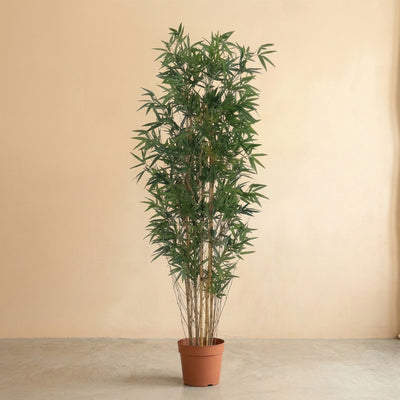 Kunstplant Bamboe | 210cm