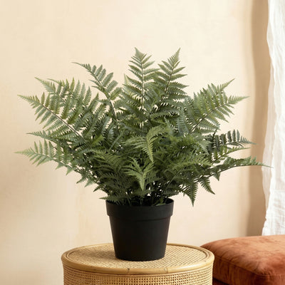 Kunstplant Varen Nephrolepis | 59cm