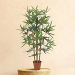 





Konstgjord bambu | 91cm - Premium kunstplant van Florafy
 thumbnail