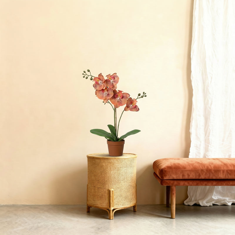 





Kunstplant Orchidee Phalaenopsis Oranje | 41cm - Afbeelding 7
