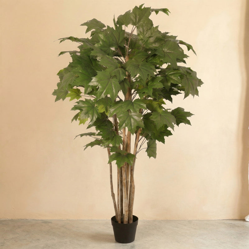 





Sztuczne drzewo Klon | 150cm - Premium kunstplant van Florafy
