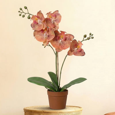 Roślina sztuczna Orchidea Phalaenopsis pomarańczowa | 41cm