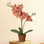 





Orchideen-Strauß | Kunstblumen-Mix - Afbeelding 5
 thumbnail