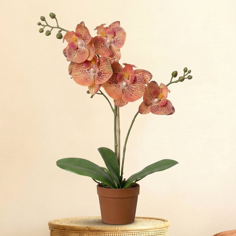 





Orchideen-Strauß | Kunstblumen-Mix - Afbeelding 5
