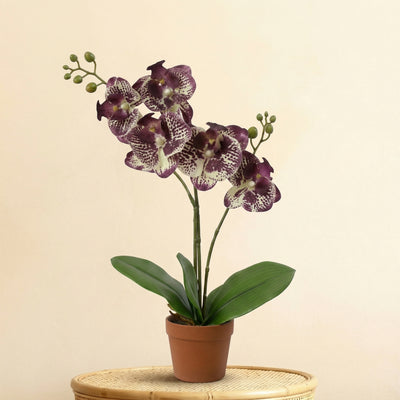 Kunstplant Orchidee Phalaenopsis Paars | 41cm