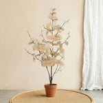 





Kunstpflanze Eucalyptus Wit | 86cm - Premium kunstplant van Florafy
 thumbnail