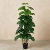 Kunstplant Monstera Monkey Leaf | 125cm