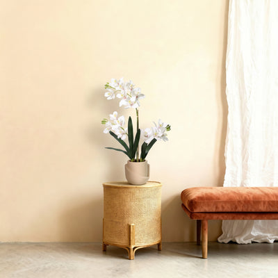Kunstplant Orchidee Phalaenopsis met Sierpot | 71cm
