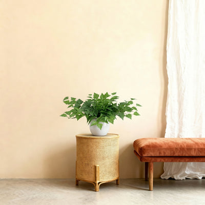 Kunstplant Epipremnum met Sierpot | 30cm