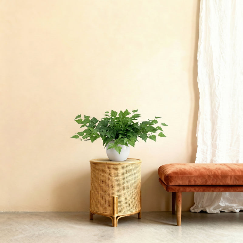 





Artificial Epipremnum with Decorative Pot | 30cm - Afbeelding 5
