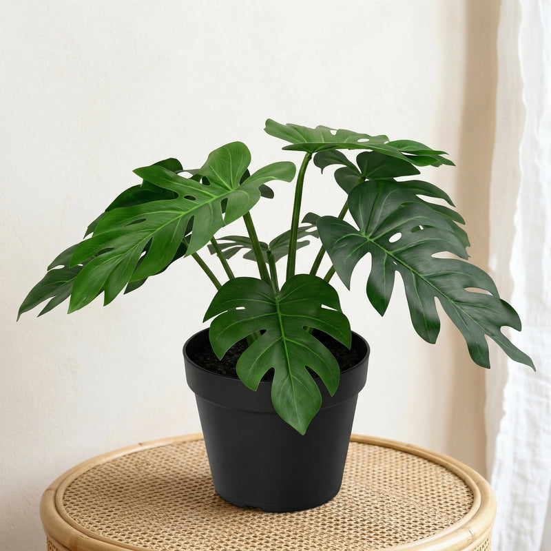 





Artificial Philodendron Xanadu Plant - Premium kunstplant van Florafy
