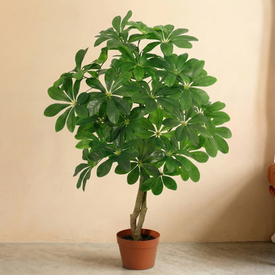 Kunstplant Schefflera Arboricola | 120cm