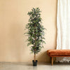 Kunstplant Ficus Benjamina | 205cm