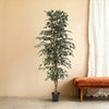 Kunstplant Ficus Benjamina Variegata | 205cm