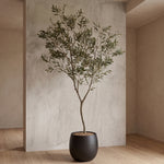 





Kunst Olijfboom | 240cm - Afbeelding 5
 thumbnail