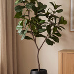 





Pianta artificiale Ficus Lyrata Albero | 240cm - Afbeelding 5
 thumbnail