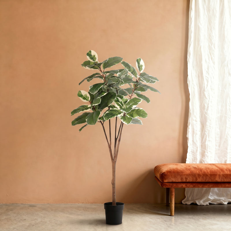 





Pianta artificiale Ficus Elastica Tineke | 170cm - Detail view kunstplant
