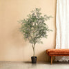 Kunstplant Ficus Cassia | 206cm