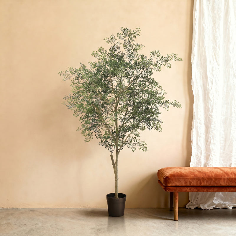 





Pianta Artificiale Ficus Cassia | 206cm - Premium kunstplant van Florafy

