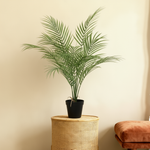 





Slaapkamer Kunstplanten Set | Rustgevend Groen | Florafy - Afbeelding 6
 thumbnail