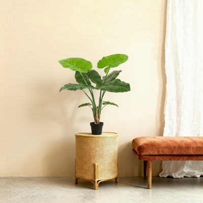 Kunstplant Alocasia Olifantsoor | 90cm