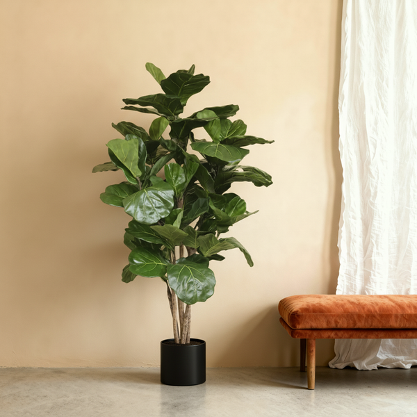 Kunst ficus lyrata 'vioolbladplant' - 170cm, een eyecatcher