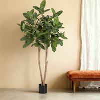 Kunstplant Ficus | 200cm